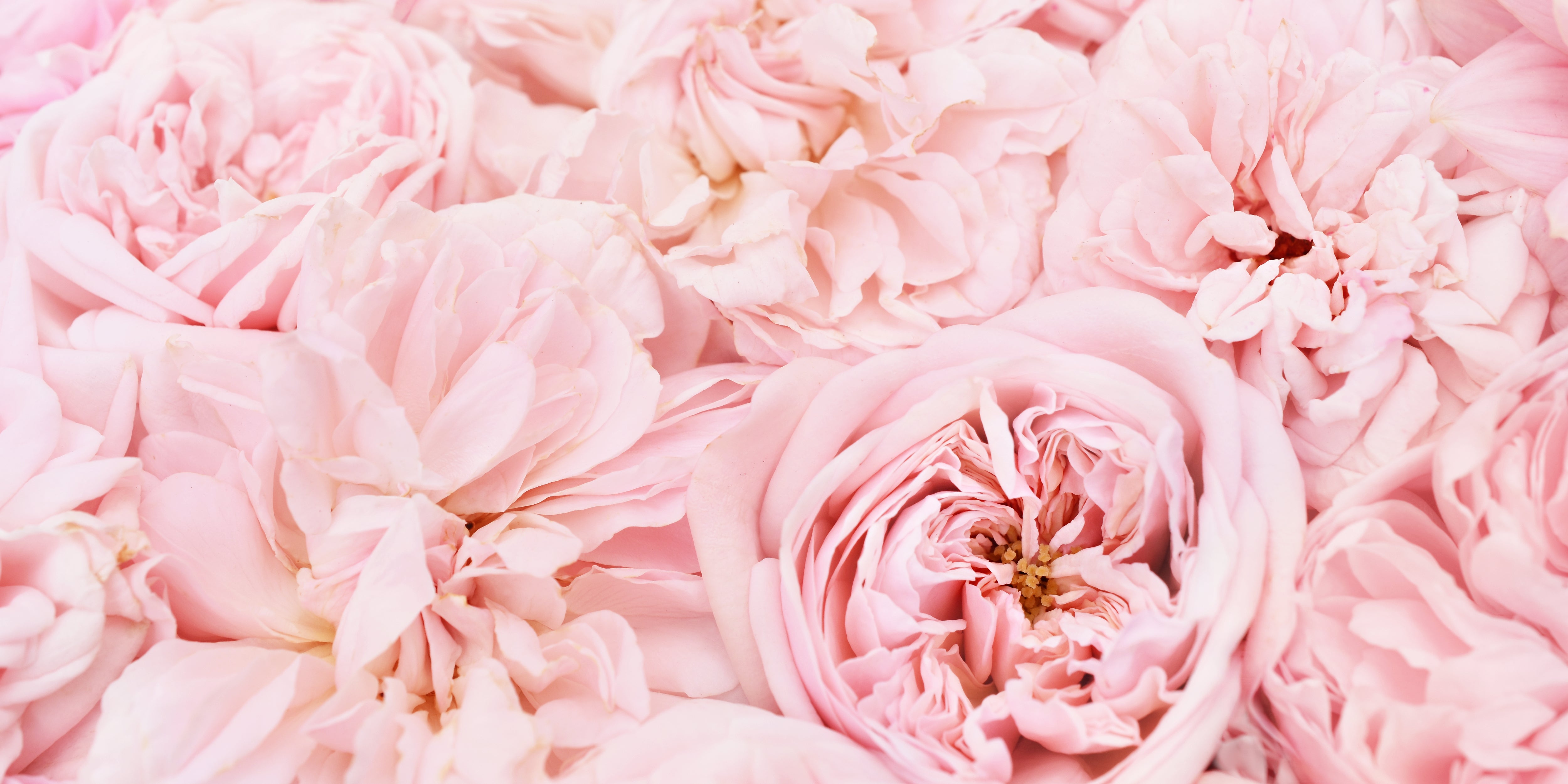 SPRING INTO PASTELS
