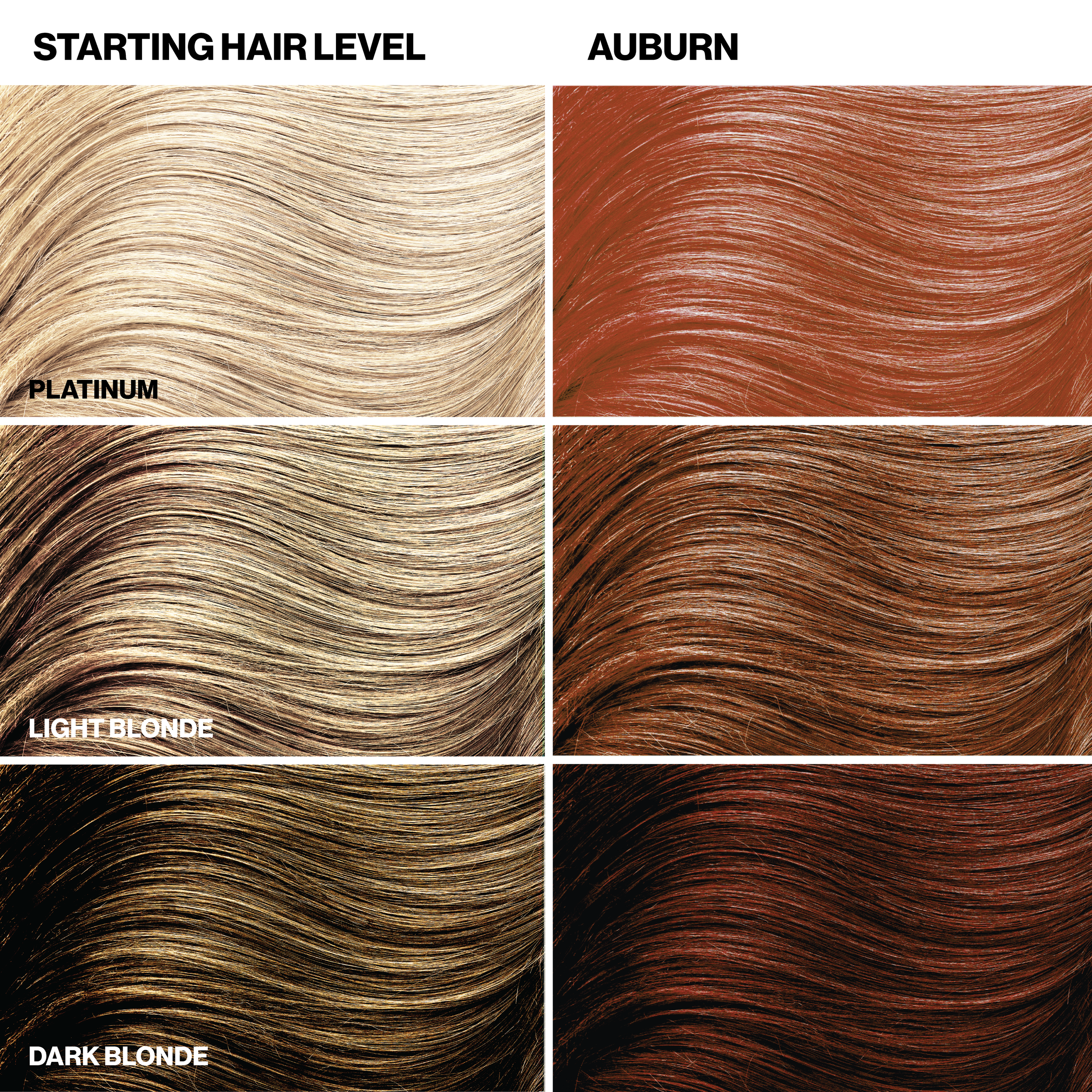 Hair color chart showing different hair shades from platinum to dark blonde, and how the Auburn color would look on them.